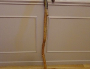 Natural Wood Cane – $20