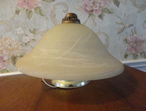 Dome Light Fixture – $25